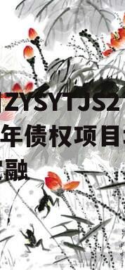四川ZYSYTJS2024年债权项目城投债定融