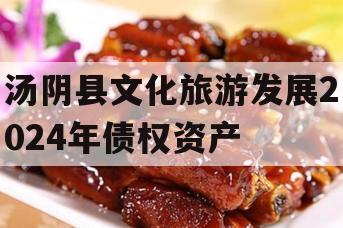 汤阴县文化旅游发展2024年债权资产