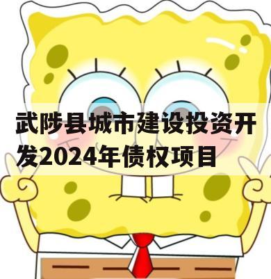 武陟县城市建设投资开发2024年债权项目