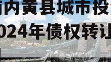 河南内黄县城市投资开发2024年债权转让项目